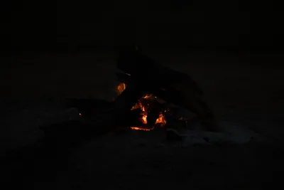 DSC_3707 (Large).JPG